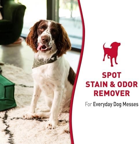 Nature's Miracle Stain & Odor Remover thumbnail 3