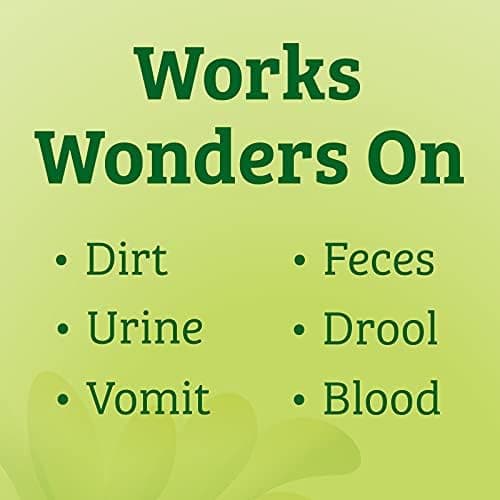 Biokleen Bac-Out Stain + Odor Remover thumbnail 5