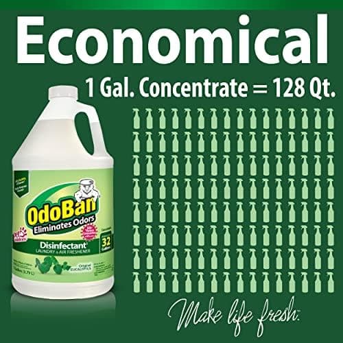 OdoBan Disinfectant & Odor Eliminator thumbnail 5