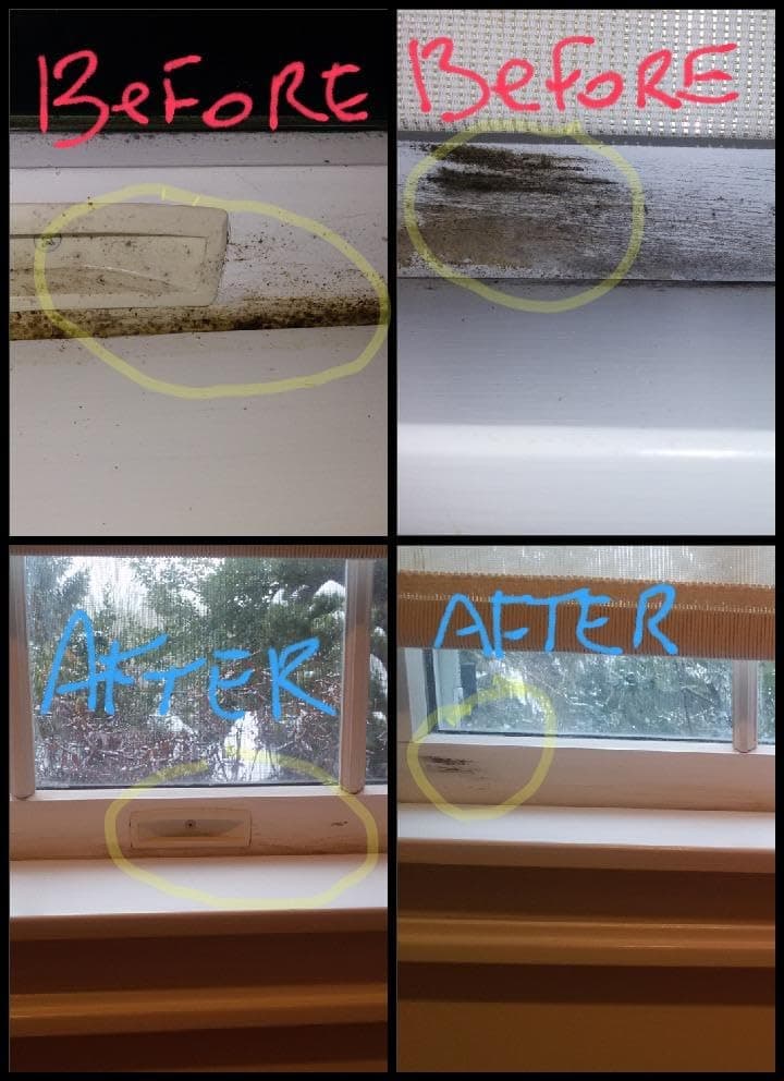 Concrobium Mold Control